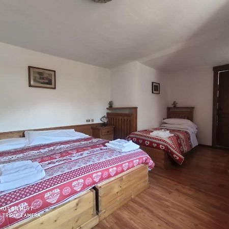 La Favorita Bed & Breakfast Lozzo Cadore Dış mekan fotoğraf