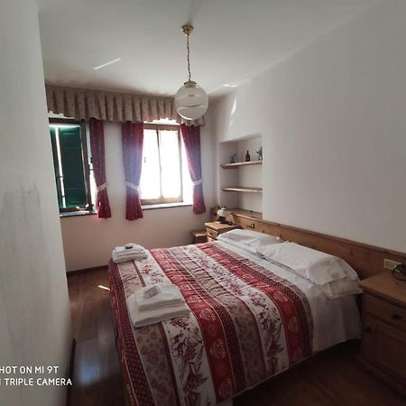 La Favorita Bed & Breakfast Lozzo Cadore Dış mekan fotoğraf