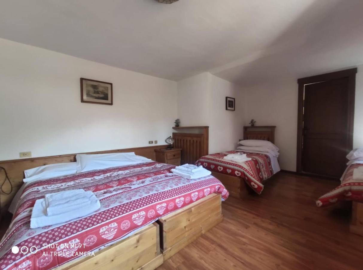 La Favorita Bed & Breakfast Lozzo Cadore Dış mekan fotoğraf