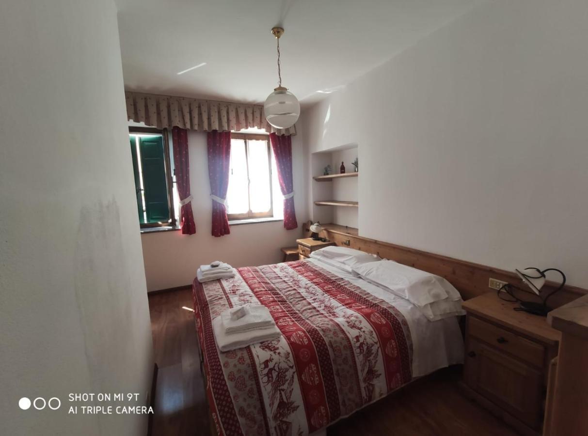 La Favorita Bed & Breakfast Lozzo Cadore Dış mekan fotoğraf