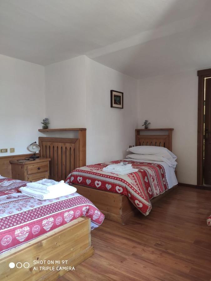 La Favorita Bed & Breakfast Lozzo Cadore Dış mekan fotoğraf